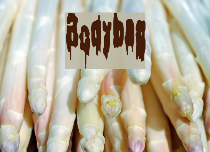 Bodybag لخطوط تنزيل examples