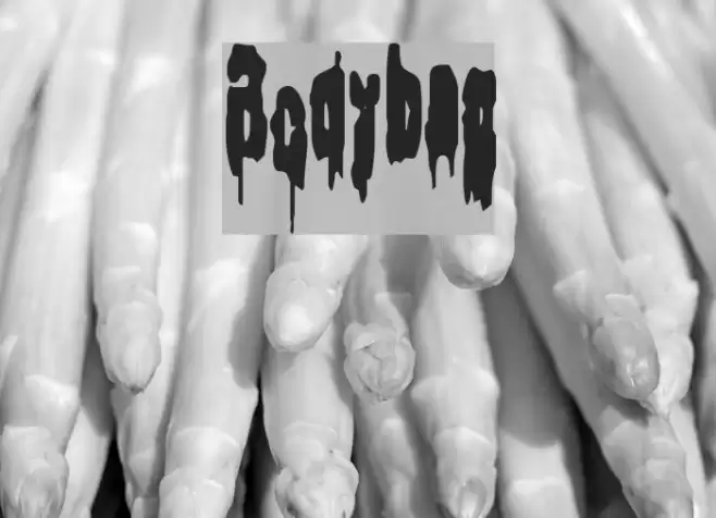 Bodybag Font examples