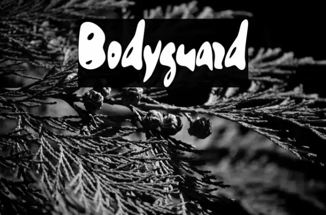 Bodyguard Font examples