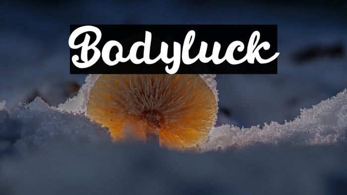 Bodyluck Example 1