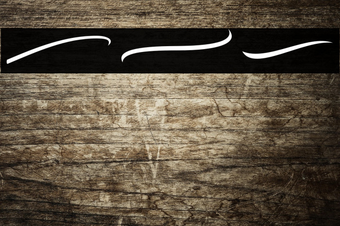 Bodytrack Swashes Example 1