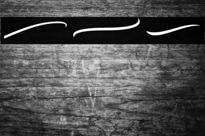 Bodytrack Swashes Example 1
