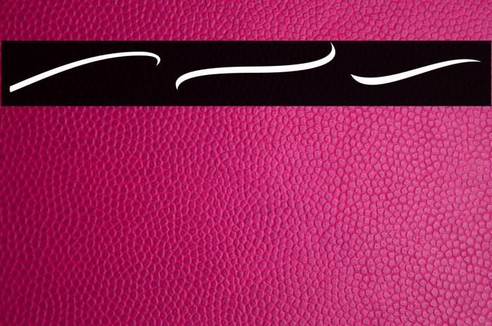 Bodytrack Swashes Example 3