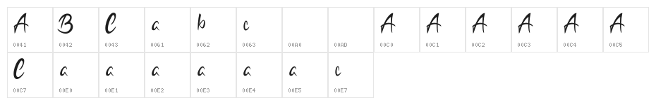 Bodytrack Character Map