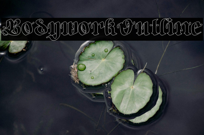 Bodywork-Outline Example 1