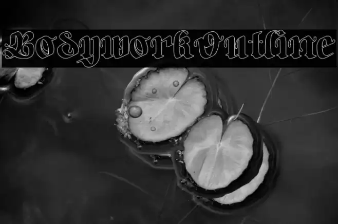 Bodywork-Outline Schriftart examples