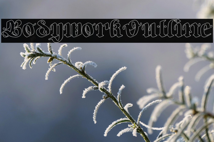 Bodywork-Outline Example 2