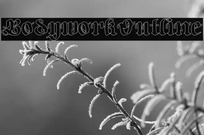 Bodywork-Outline Schriftart examples