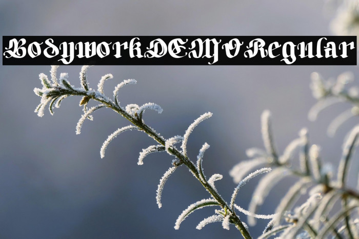 BodyworkDEMO-Regular Example 2