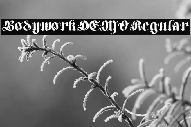 BodyworkDEMO-Regular Fuentes examples