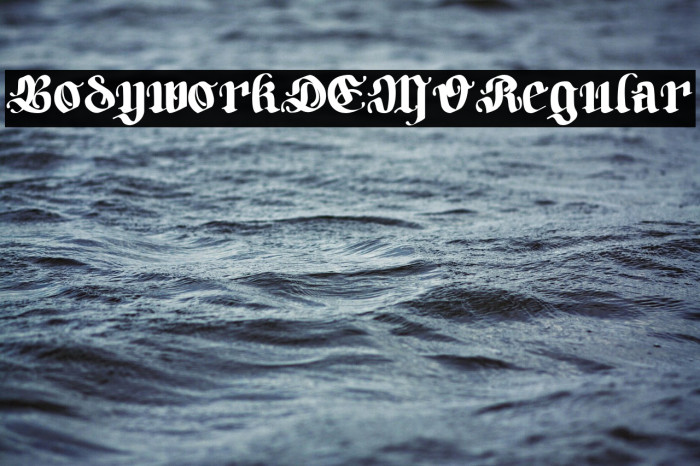 BodyworkDEMO-Regular Example 3