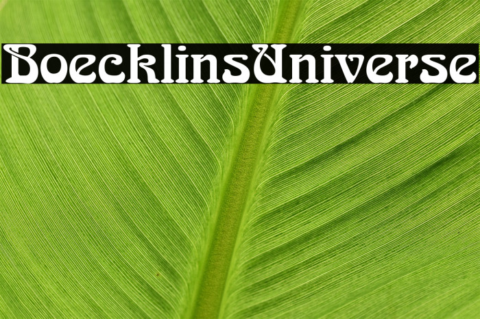 BoecklinsUniverse Font examples