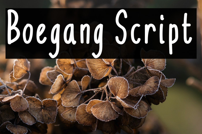 Boegang Script Example 1