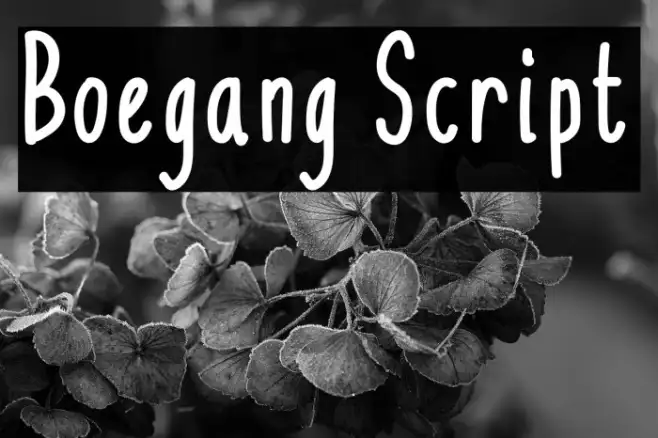 Boegang Script Example 1