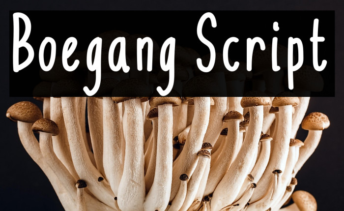 Boegang Script Example 2