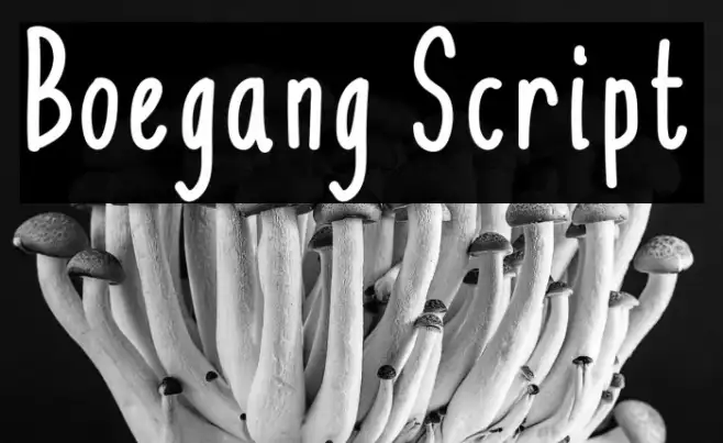 Boegang Script Example 2