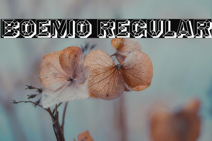 Boemo Regular Example 1