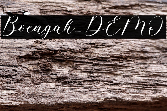 Boengah_DEMO Example 2