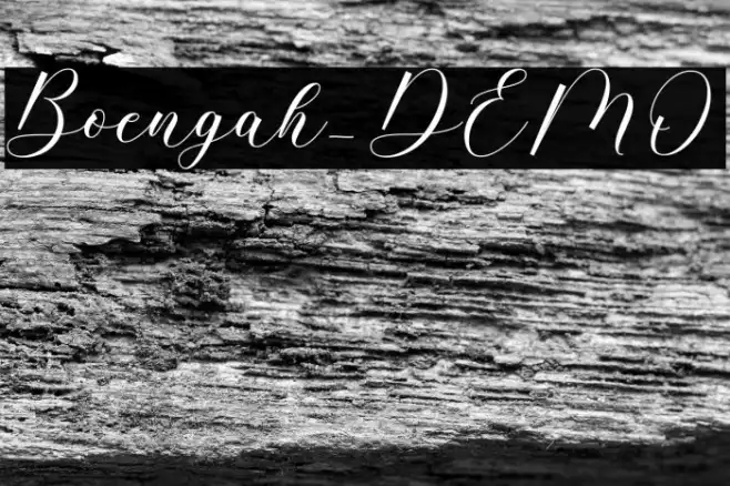 Boengah_DEMO Example 2