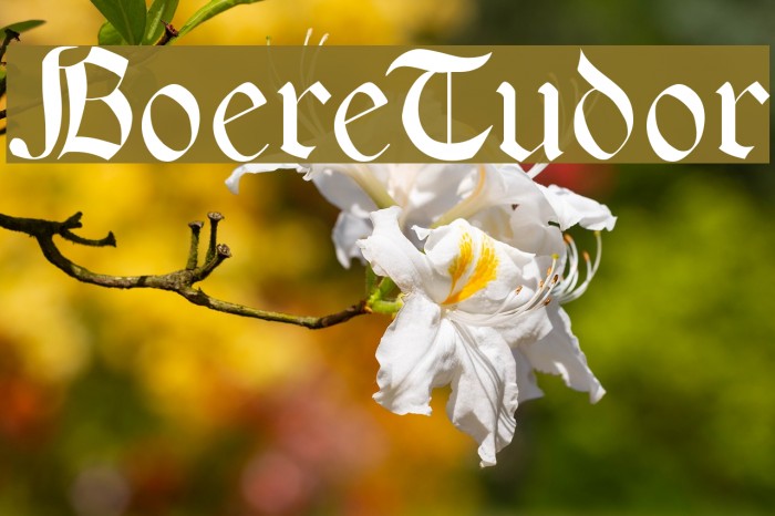 BoereTudor Font examples