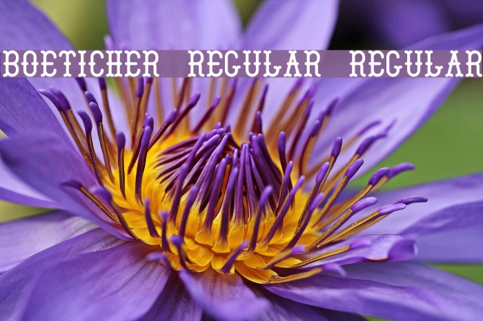 Boeticher Regular Regular Example 2