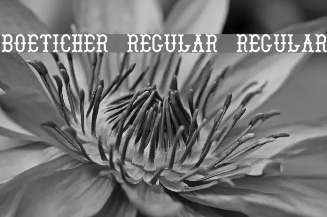Boeticher Regular Regular Font examples