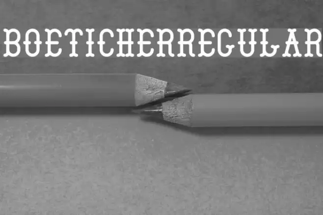 Boeticher-Regular Example 2