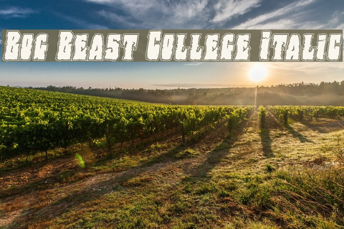 Bog Beast College Italic Font examples
