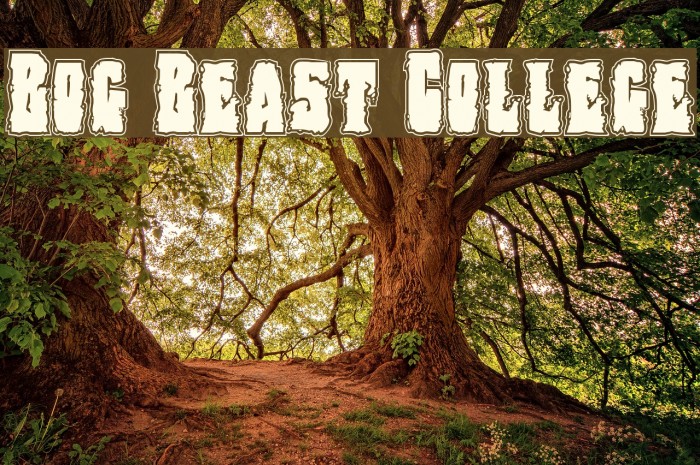 Bog Beast College Font examples