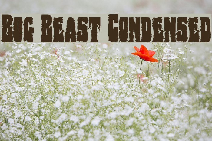 Bog Beast Condensed Font examples