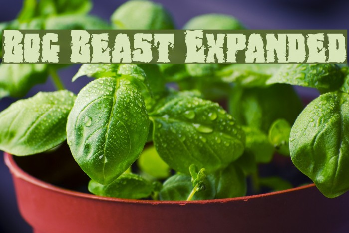 Bog Beast Expanded Font examples