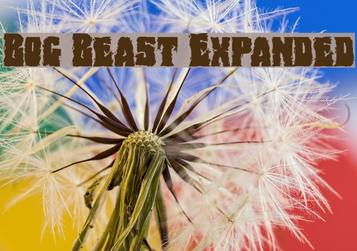 Bog Beast Expanded Font examples
