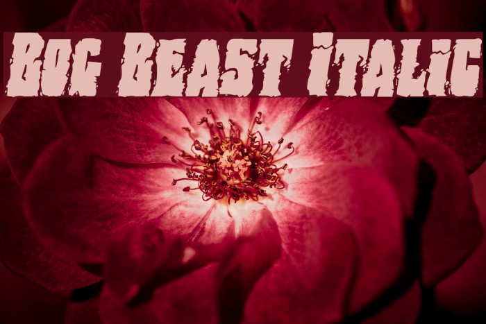 Bog Beast Italic Example 2