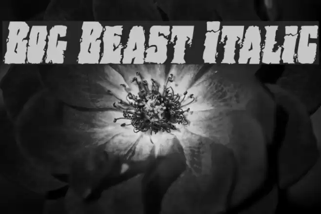 Bog Beast Italic Font examples