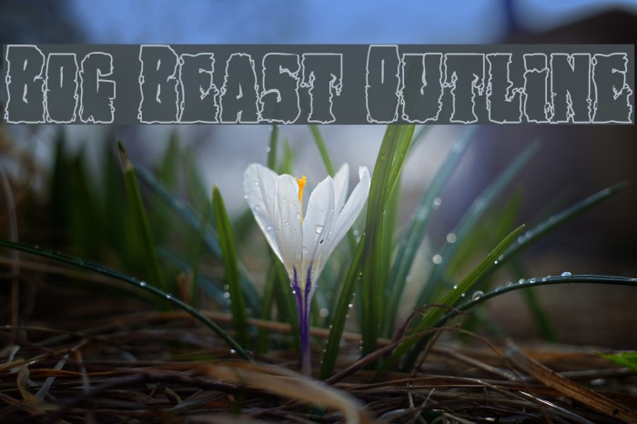 Bog Beast Outline Font examples