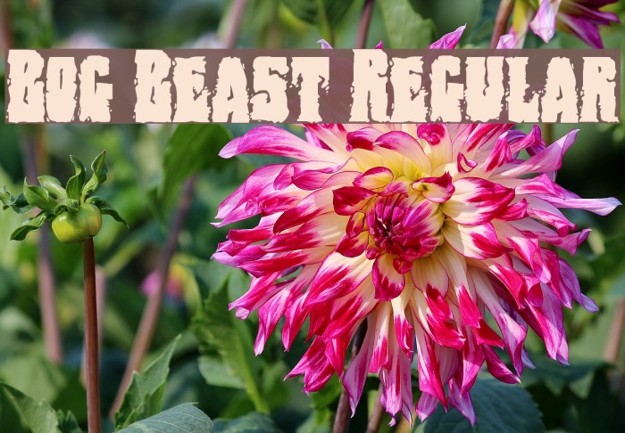 Bog Beast Regular Font examples