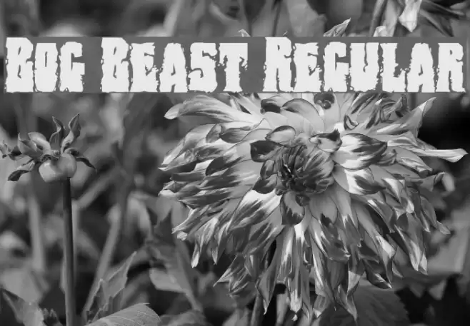 Bog Beast Regular フォント examples