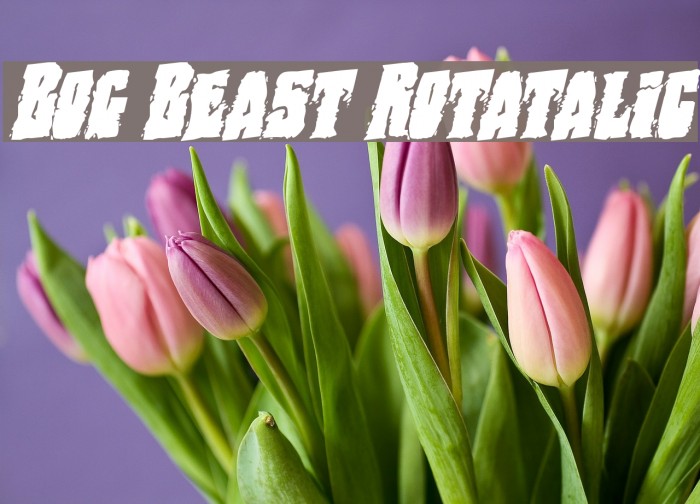 Bog Beast Rotatalic Font examples