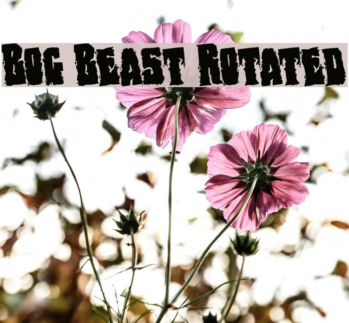 Bog Beast Rotated Font examples
