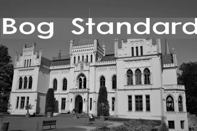 Bog Standard Font examples