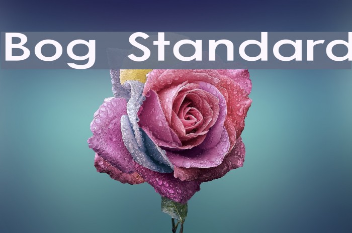 Bog Standard Caratteri examples