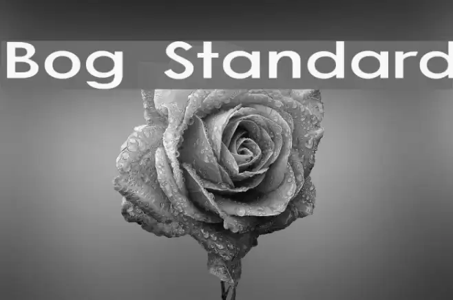 Bog Standard Font examples