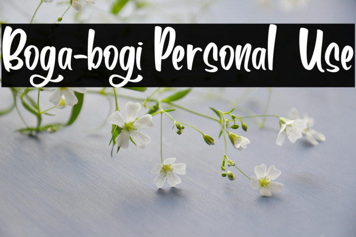 Boga-bogi Personal  Use Example 1