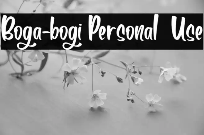 Boga-bogi Personal  Use Font examples