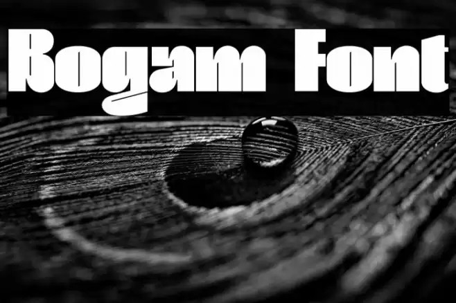 Bogam Font examples