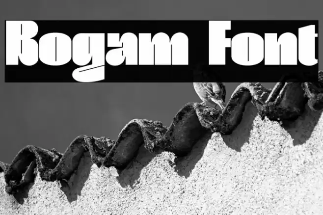 Bogam Font examples