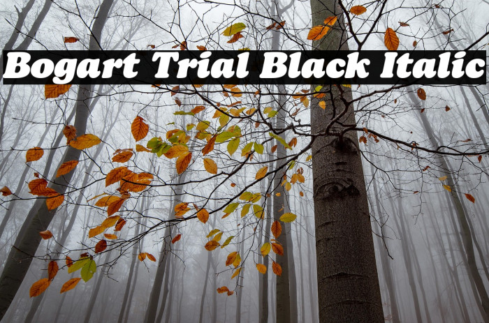 Bogart Trial Black Italic Example 1