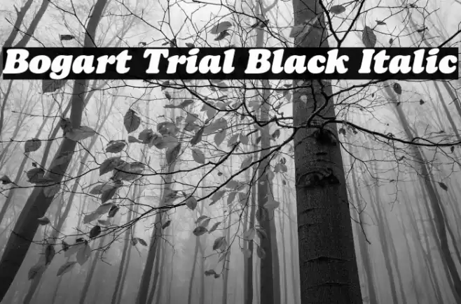 Bogart Trial Black Italic Font examples