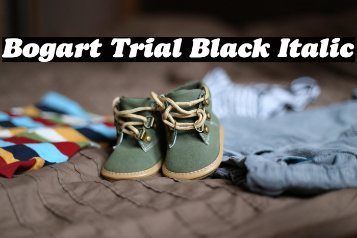 Bogart Trial Black Italic Example 2