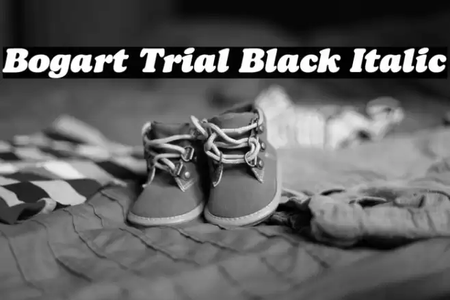 Bogart Trial Black Italic Font examples